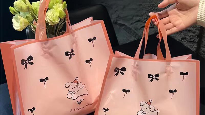 Sự trỗi dậy của túi mua sắm tái sử dụng