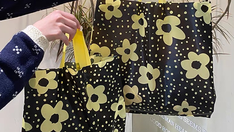 Quan điểm hợp lý: Sự thật 'Xanh' của Túi thân thiện với môi trường